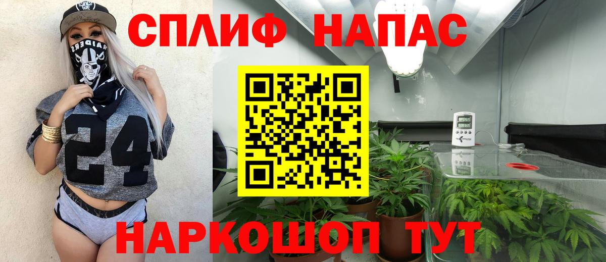 Шишки марихуана MAZAR Владивосток